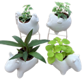  Ceramic Farm Animal w/ Foliage